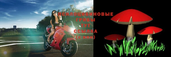 ALPHA PVP Баксан