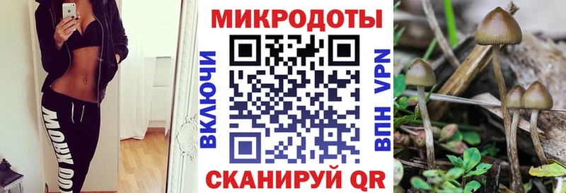 Галлюциногенные грибы мухоморы Сегежа