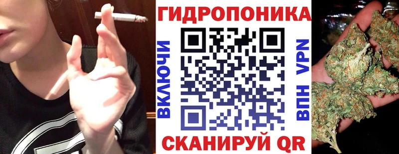 Конопля Amnesia  купить наркотик  Сегежа 